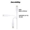 iPhone charger